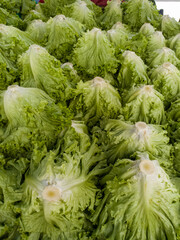 lettuce, lettuce stack, fresh green cabbage, fresh vegetables on the market, selective focus, 