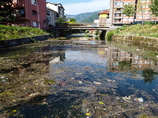 A polluted river in the city. Garbage in the river. Trash floating in water. Environmental problem....