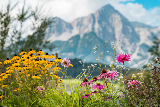 Maria Alm am Steinernen Meer