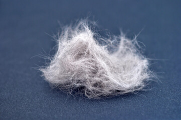 cat hair after combing on a dark blue background