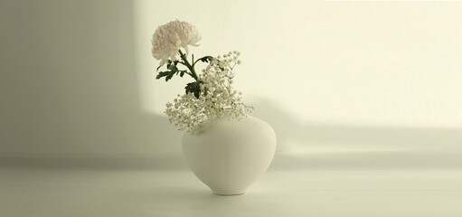 Beige chrysanthemums and gypsophila  flower bouquet  in white vase on interior. Minimalist still life. Light and shadow nature horizontal  long background.