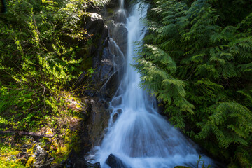 Waterfall in the forest