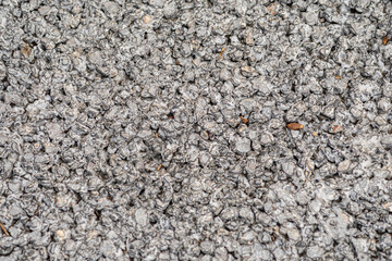 concrete path rough gray texture