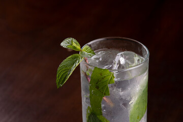 refreshing mint mojito cocktail in long drink close-up detail of mint seen from above