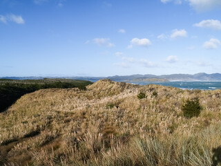 Fototapeta na wymiar West Coast view over dunes and sea
