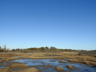 The serene natural beauty of Assateague Island attracts tourist from all over the world. A paradise worth visiting even in the winter season.