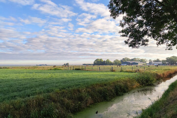 Obraz premium Scenic image of the dutch countryside in the early morning near the village of Waddinxveen, the Netherlands