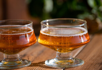 Making and tasting of fresh apple cider produced on organic farm from bio apples in Normandy, France