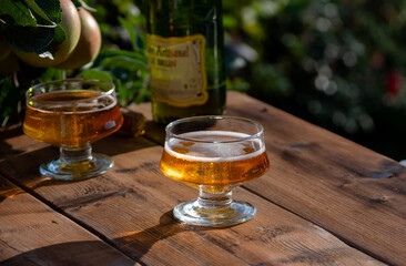 Making and tasting of fresh apple cider produced on organic farm from bio apples in Normandy, France