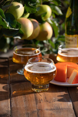 Food and drink pairing, apple cider produced on organic farm from bio apples in Normandy, France and cheddar cheese from England