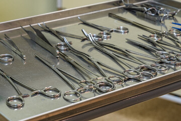 Surgical room in a veterinary clinic. Surgical table and equipment for surgery. Operation equipment. Operating room in veterinary clinic.