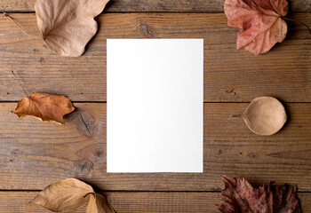 Autumn blank card mockup for thanksgiving day, DIY invitation, holidays preparation and creativity...