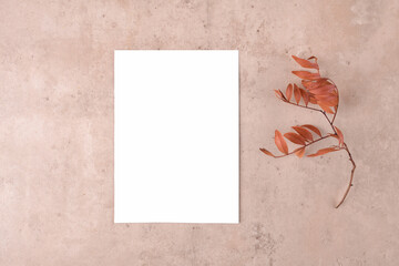 Autumn blank card mockup for thanksgiving day on natural beige background. Holidays preparation and creativity layout. Thanksgiving mockup greeting card, flat lay, 5x7 ratio, similar to A6, A5