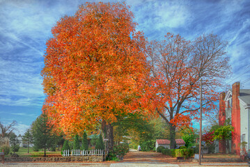 Naklejka premium Orange Reward