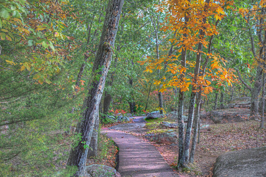Braille Trail in late autumn.  Hiking trail meanders through the colorful trees in prime foliage 