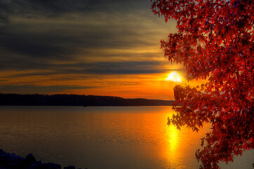 Sunset Through a Tree Peoples Creek Recreation Area  Lake Wappapello Wayne County Missouri on November 19, 2021 Layers of multicolored clouds over the horizon at sunset 