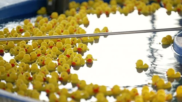 tub full of yellow plastic ducks
