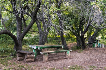 Table and benches in the backyard