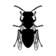 Silueta de abeja o avispa aislada en color negro