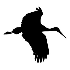 Silueta de cigueña volando aislada en color negro