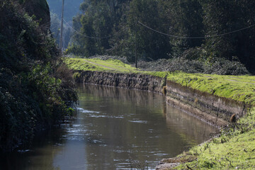 Camino en el rio