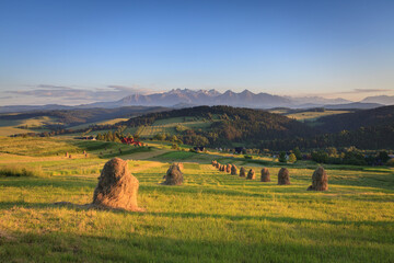 heaps of hay in spring on a meadow with a view of the Tatra Mountains