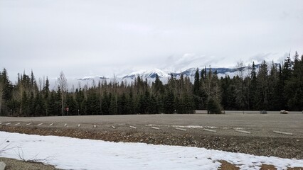 winter landscape with snow