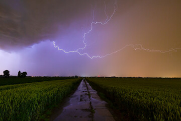 Close lighting strike in farmland