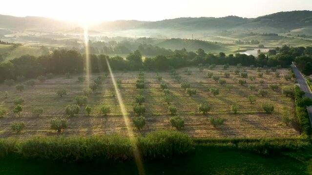 drone flies over the fields at dawn of the Tuscan Maremma
