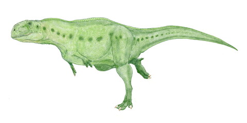 クイルメサウルス　白亜紀後期のアルゼンチンに生息していたと推定されるアベリサウルス類の中では小型の獣脚類。化石として発見されたデータがあまりにも乏しく、実在も疑問視されるくらいだ。体長5メートル30センチ程度とされるこの肉食恐竜は、描くにはあまりにも無謀であるけれど、大腿骨と脛骨の一部から私の頭の中では、ここまで想像の翼が羽搏いた。