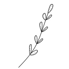 branch in doodle style, sketch isolated, vector