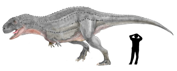 ピクノネモサウルス　(うっそうとした森のトカゲ）白亜紀後期(約7000万年前）に生息していたと推定される。
アベリサウルス科に属する肉食の獣脚類。体格的にはカルノタウルスに匹敵する大きさであったと推定されるが、カルノタウルスのような豊富な再現データはなく、不完全な骨格に他の大型のアベリサウルス類の恐竜たちの印象を重ねて想像図を描いた。