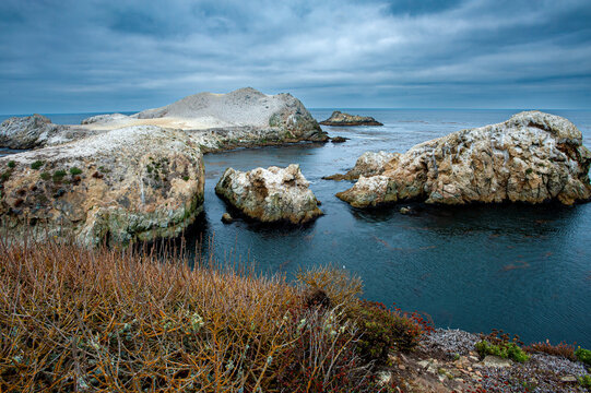 Point Lobos State Park