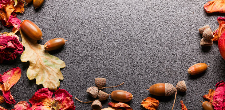 autumn leaves background with free space for text