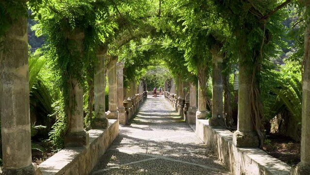 Alley in the Alfabia gardens and nature park in the Tramuntana mountain - Bunyola, Mallorca, Balearic Islands, Spain