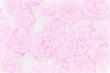 Stippled pink rose flowers. Hand drawn illustration in dotwork style.