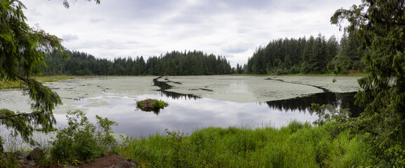 Panoramic View of a lake in Canadian Nature Landscape. Minnekhada Regional Park, Coquitlam,...