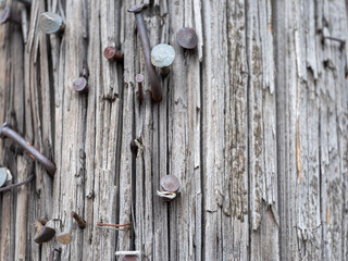old wooden pole with nails
