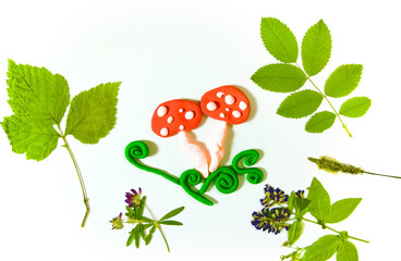 Autumn crafts with natural dry flowers, grass, leaves. Creating mushrooms from plasticine.