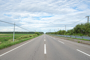 Fototapeta premium 北海道の道