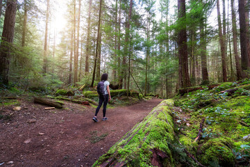 Obraz premium Adventure Woman Hiking on a Trail in a vibrant forest with green trees. Canadian Nature. Buntzen Lake Loop Trail, Anmore, Vancouver, BC, Canada.