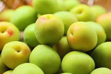 竹ざるに収穫された梅の実