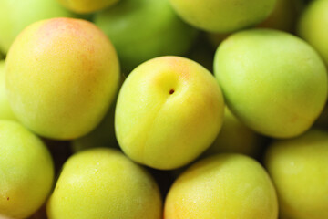 梅の実のクローズアップ