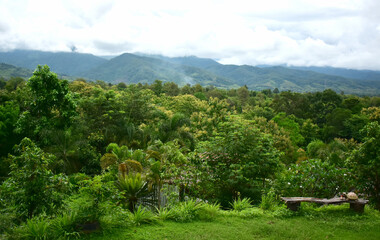 Scenery of trees, forests and mountains. © Diamon jewelry