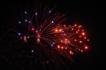 Celebration firework display in the night sky