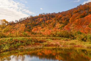 秋色の山林　湖　紅葉