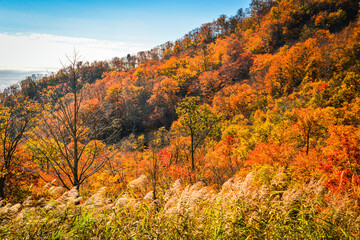 Fototapeta premium 秋色に染まる山々 長野県 渋峠