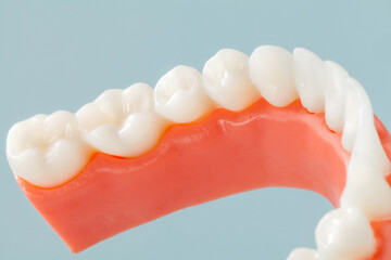 plastic denture teeth with jaw on cyan background.