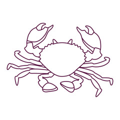 Isolated crab draw beach vector illustration