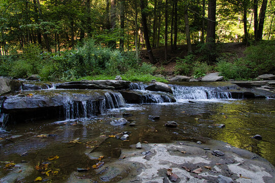 stream in the forest